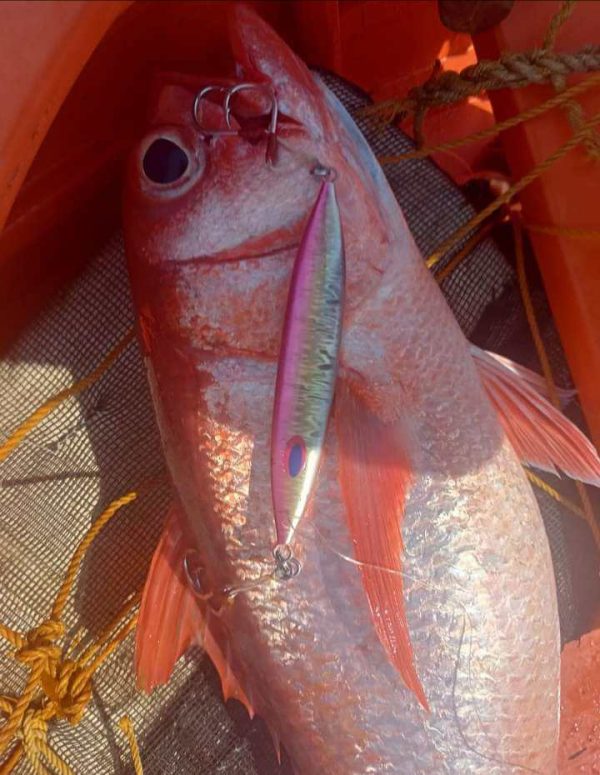 A nice Ruby snapper caught on the 350g Gediko jig