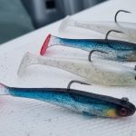 Apex Minnow Lures Apex Minnow Lures Image