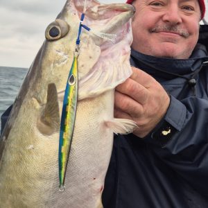 A nice pollock on the JOKER Cobra jig in Black Mack colours A nice pollock on the JOKER Cobra jig