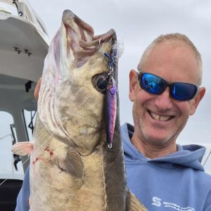 Matt caught lovely pollock using JOKER Mayhem Purple haze Matt caught lovely pollock using JOKER Mayhem Purple haze