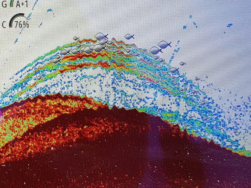 The sonar shows a mass of bass over a Lyme Bay wreck